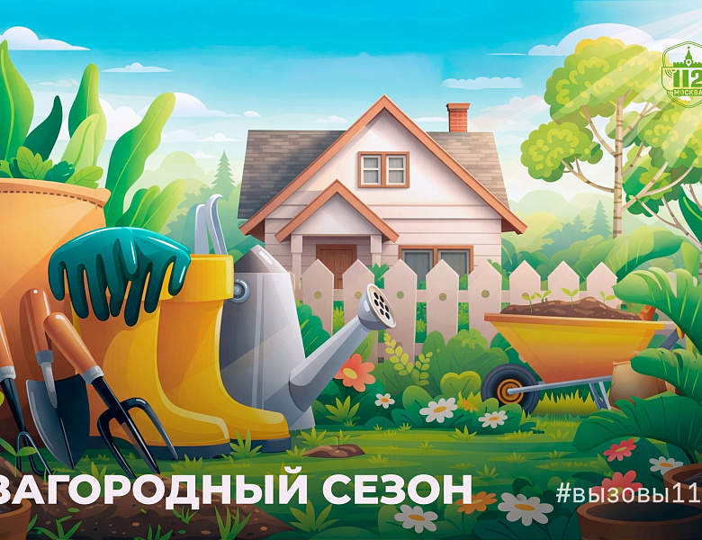 Загородный сезон